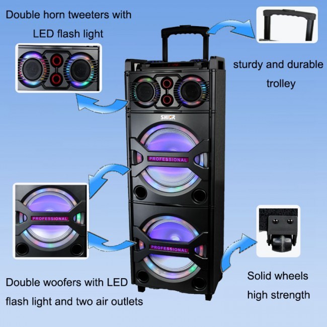 Shier Sound DJ Party Karaoke Portable Speakers System with LED Lights D10