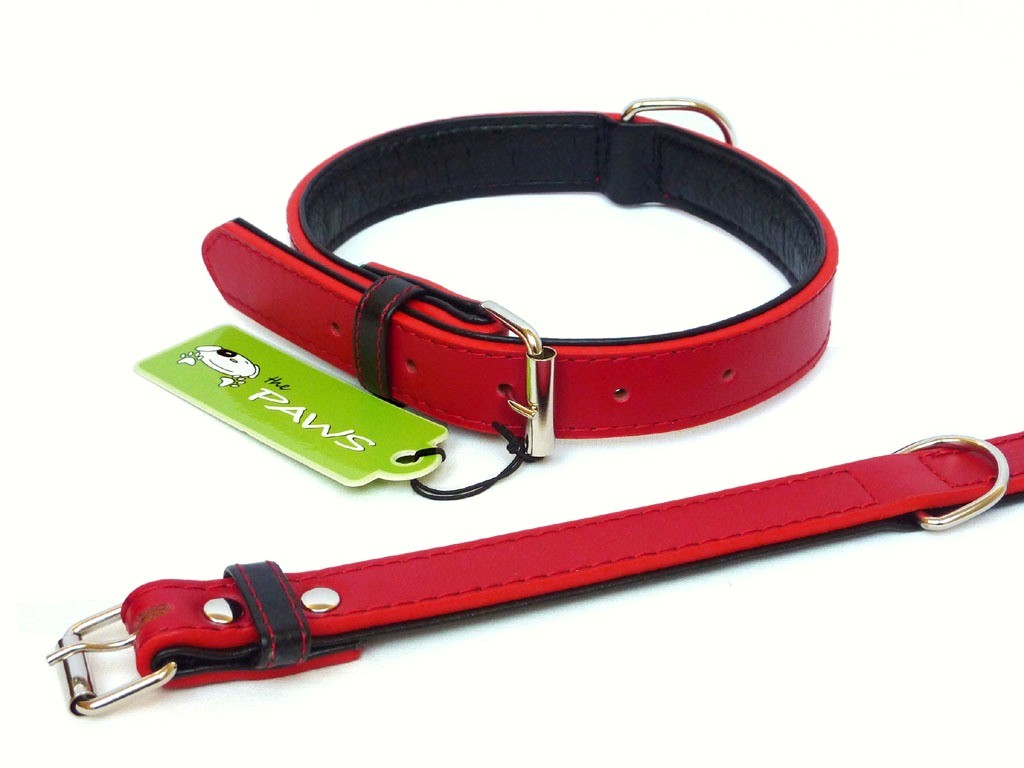 Fusion Leather Collar Lead - Red