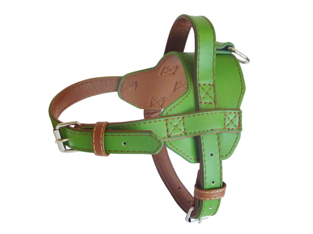 Fusion Leather Harness - Lime