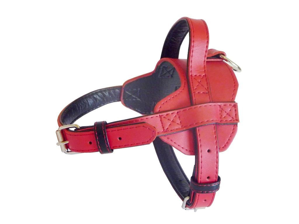 Fusion Leather Harness - Red