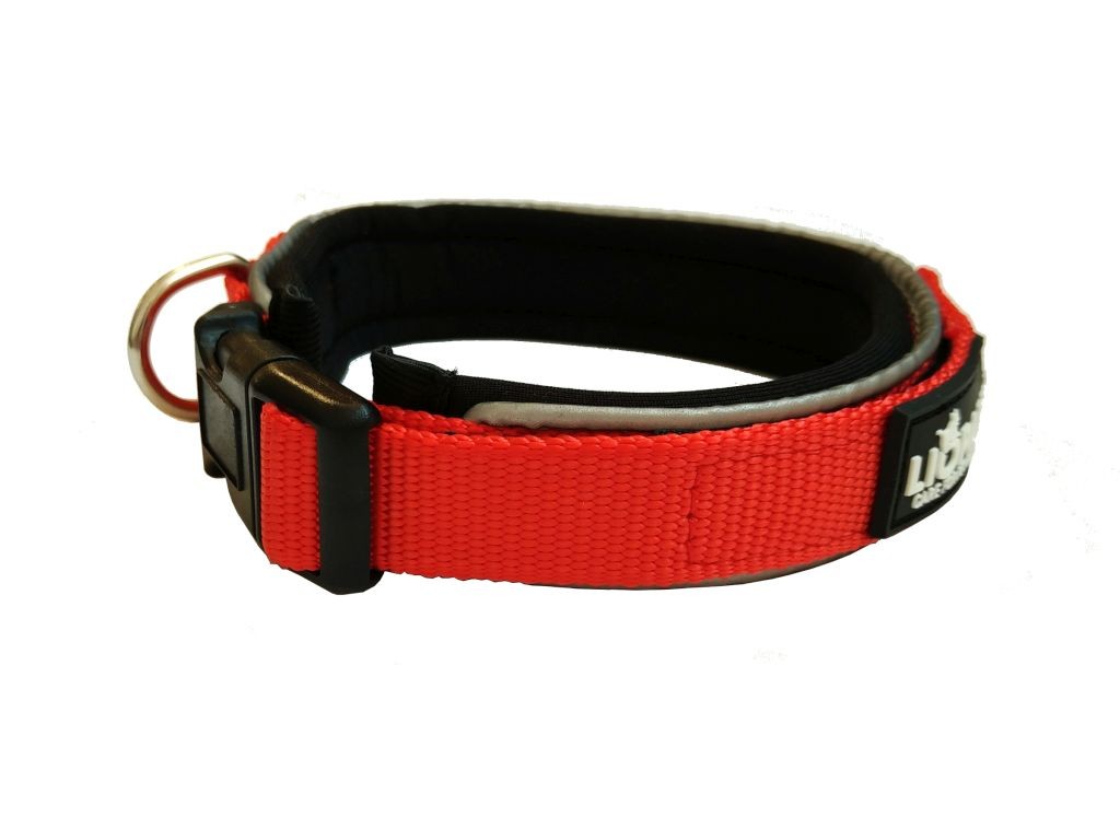 Liopard Padded Collar Lead - Red