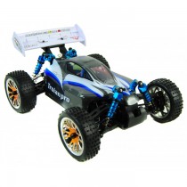 Trojan 1:16 RC Racing Buggy 2.4G - PRO Brushless 4WD Version