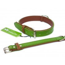 Fusion Leather Collar Lead - Lime