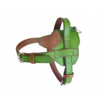 Fusion Leather Harness - Lime
