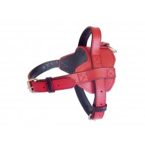 Fusion Leather Harness - Red
